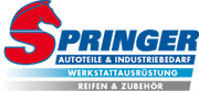 Springer-Logo.jpg